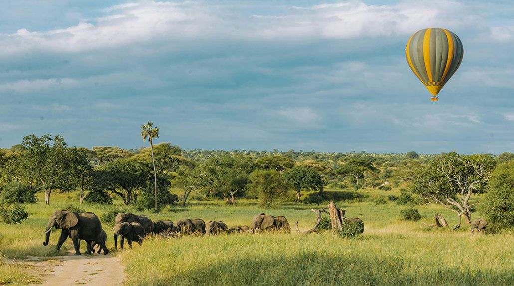 Tanzania Safari Adventure 